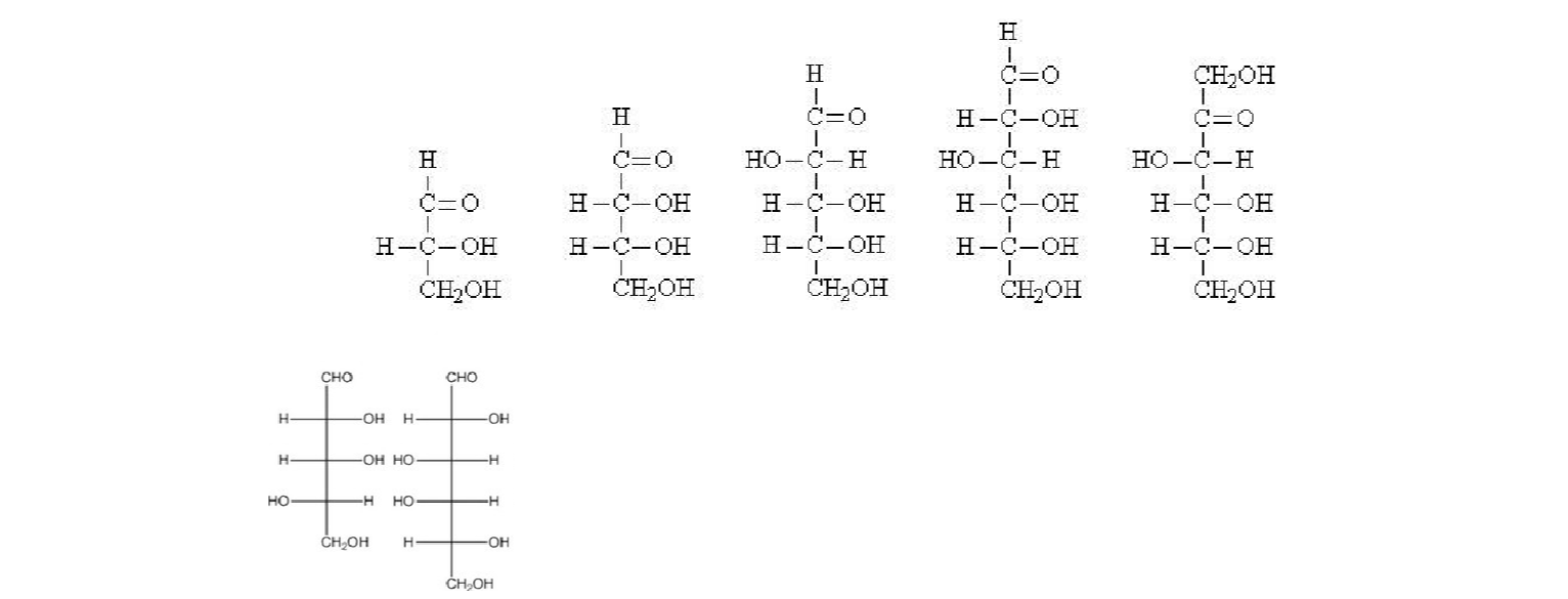 Solved 1 list three functions of carbohydrates 2 describe the