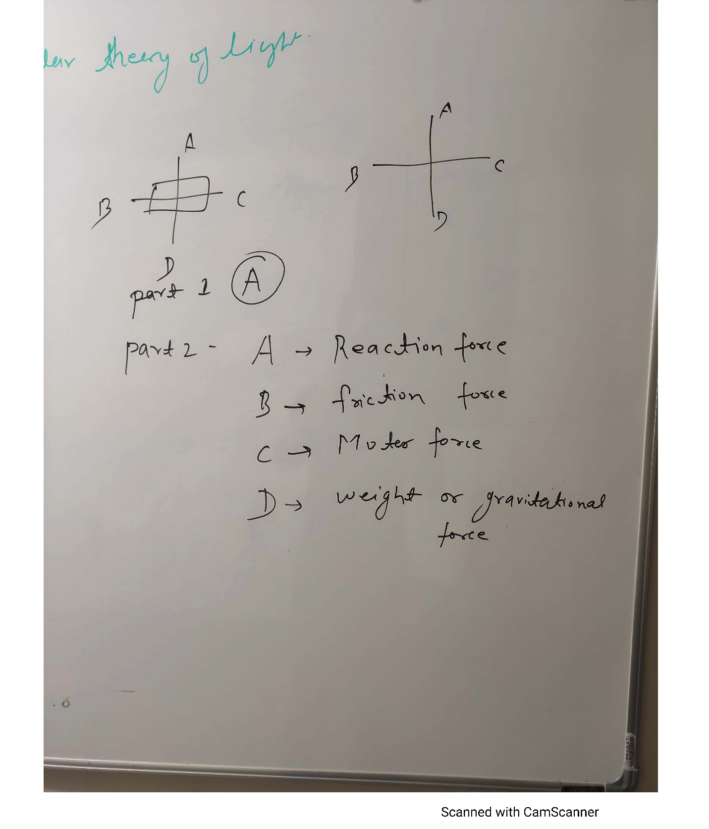Solved Which Free body Diagram Above Correctly Shows The Forces Acting